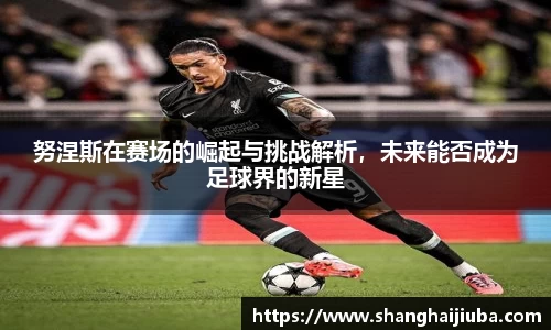 努涅斯在赛场的崛起与挑战解析，未来能否成为足球界的新星