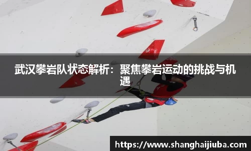 武汉攀岩队状态解析：聚焦攀岩运动的挑战与机遇